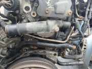 Kühlmittelflansch Volkswagen Touran, 2003.01 - 2006.10 03g121132b,03g 121 132 b BLS