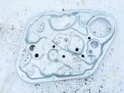 Schiebetürfensterheber ohne Elektromotor - Vorne Rechts Kia Venga 2009 - 2019 824801p020, 82480-1p020 81320-1p020