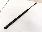 Gasdruckfeder Kofferraum Opel Vectra, C 2002.04 - 2005.10 Gebraucht,