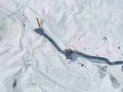 Stabilisator Vorne Volvo S40, 1995.07 - 2000.07 Gebraucht,