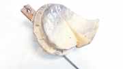 Hupe Opel Astra, G 1998.09 - 2004.12 e120009,