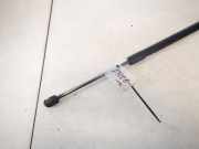 Gasdruckfeder Kofferraum Volkswagen Passat, B6 2005.08 - 2010.11 3c9827550, 3c9827550a01s bvy