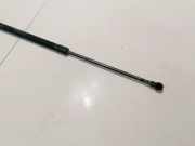 Gasdruckfeder Kofferraum Nissan X-Trail, 2001.06 - 2007.06 3286sb0410n, 90451eq300