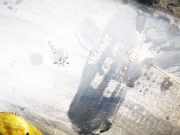 Verkleidung Säule - MITTE LINKES Skoda Praktik, I 2006.01 - 2010.06 5j7867282,