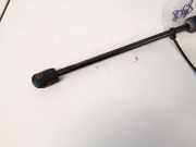 Gasdruckfeder Kofferraum Audi A6, C6 2005.01 - 2008.10 Gebraucht,