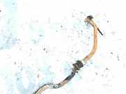 Stabilisator Vorne Kia Carens, 2002.07 - 2006.09 Gebraucht,