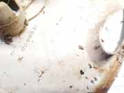 Radkappe Radzierblenden - R14 Citroen Xsara, I 1997.04 - 2000.09 9626115080,