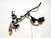 Einspritzleitung Nissan Qashqai, I 2006.01 - 2010.06 Gebraucht,