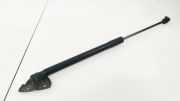 Gasdruckfeder Kofferraum Renault Megane, III 2008.11 - 2012.06 844300009R,