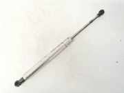 Gasdruckfeder Kofferraum Volkswagen Phaeton, 2002.04 - 2006 Gebraucht, BMK