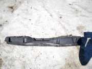 Stoßstangenhalter - Hinten Renault Scenic, III 2009.02 - 2013.06 850420002r,
