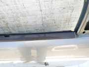 Zierleiste Leiste - Vorne Rechts Renault Scenic, I 1996.01 - 1999.09 Gebraucht,