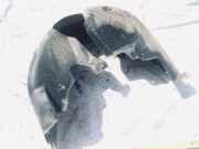 Radhausschale - Hinten Rechts Seat Altea, 2004.01 - 2015.12 5p0810970b,