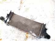 Ladeluftkühler Mercedes-Benz ML, W164 2005.06 - 2009.07 Gebraucht,