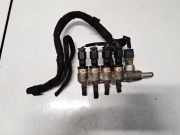 Einspritzleiste Gasanlage Nissan X-Trail, 2001.06 - 2007.06 110R000005,110R-000005 110R000005