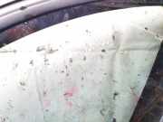 Seitenfenster Seitenscheibe - Hinten Rechts Chevrolet Captiva, 2011.06 --> dot736as3m35,