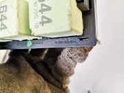 Sicherungskasten Volkswagen Tiguan, 2007.09 - 2012.06 7n0937503a, CFFB