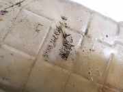 Ausgleichsbehälter Renault Scenic, II 2006.06 - 2009.02 facelift 8200262036,