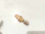 Gl?hbirnenfassung Blinker Toyota Avensis Verso, 2001.08 - 2009.11 Gebraucht,