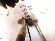 Stabilisator Vorne Ford Transit, III 2006.04 - 2012.12 facelift Gebraucht,