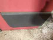 Zierleiste Tür Zier-Schutzleiste - Vorne Linke Fiat Ducato, 2006.07 - 2014 Gebraucht,