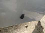 Waschwasserdüse Scheibenreinigung Toyota Corolla, 2001.11 - 2004.02 Gebraucht,