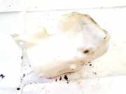 Scheibenwaschbehälter Vorne Wischwasserbehälter Opel Astra, F 1991.09 - 1998.09 0023935,