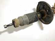 Stoßdämpfer - Vorne Rechts Hyundai Trajet, 2000.03 - 2008.07 Gebraucht,