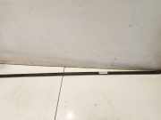 Zierleiste Leiste - Hinten Linke Volvo C30, I 2006.01 - 2010.01 Gebraucht,