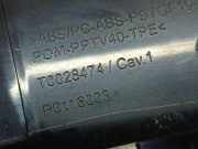 Lüftungsgitter Armaturenbrett Skoda Roomster, I 2006.01 - 2010.05 T0028474, T0028474 P0116003