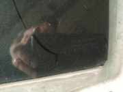 Seitenscheibe - Hinten Linke Mazda 2, DY 2003.02 - 2007.10 as2,