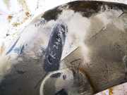 Radhausschale - Hinten Linke Peugeot Partner, II 2009.06 - 2015.06 Gebraucht,