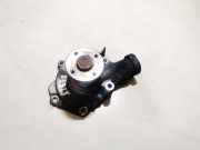 Wasserpumpe Hyundai Trajet, 2000.03 - 2008.07 Gebraucht,