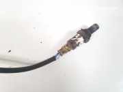 Lambdasonde - 4 Drähte WEISS SCHWARZ SCHWARZ BLAU Toyota Avensis, II 2003.04 - 2006.03 Gebraucht,