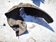 Radhausschale - Hinten Rechts Mazda 3, BL 2009.06 - 2013.06 Gebraucht,