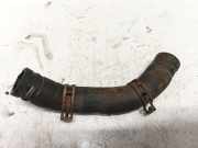 Kühlerschlauch Citroen Berlingo, II 2008.04 - 2018 Gebraucht,