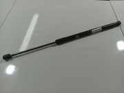 Gasdruckfeder Kofferraum Ford Focus, 2011.04 - 2018 BM51N406A10AC,BM51-N406A10-AC 749270 0670N 7492700670N