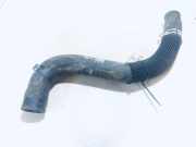 Kühlerschlauch Peugeot 407, 2004.05 - 2010.12 Gebraucht,