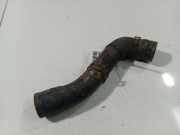 Kühlerschlauch Volkswagen Golf, IV 1997.08 - 2003.10 Gebraucht,
