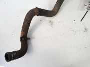 K?hlerschlauch Citroen Xsara, I 2000.09 - 2005.03 facelift Gebraucht,