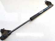 Gasdruckfeder Kofferraum Nissan Leaf, I 2010 - 2017.12 904513nl1a,