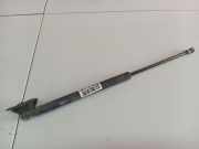 Gasdruckfeder Kofferraum Toyota Yaris, II (XP90) 2005.01 - 2011.01 689600d010,689600d010