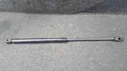 Gasdruckfeder Kofferraum Fiat Bravo, 1995.10 - 2001.10 Gebraucht,