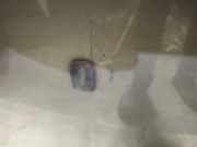 Waschwasserd?se Scheibenreinigung SAAB 9-5, 2005.11 - 2010.05 facelift Gebraucht,