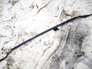 Dachreling Linke Toyota Avensis Verso, 2001.08 - 2009.11 Gebraucht,