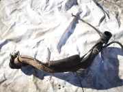 Tankeinfüllstutzen Tankrohr Kraftstoffrohr Citroen Xsara, I 1997.04 - 2000.09 9621835180, 9624427880