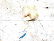 Scheibenwaschbehälter Vorne Wischwasserbehälter Audi A4, B5 1994.11 - 1999.09 4a9955453,