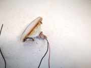 Blinkleuchte Kotflügel - Vorne Rechts Fiat Punto, 2005.10 - 2012.03 51717793,