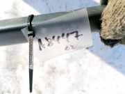 Dachreling Rechts Volvo V50, 2004.04 - 2007.05 853437802, 853-4378-02