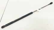 Gasdruckfeder Kofferraum Ford Focus, 1998.10 - 2002.10 XS41N406A10AH, XS41-N406A10-AH